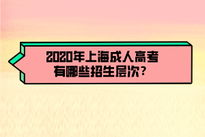 2020年上海成人高考有哪些招生層次？