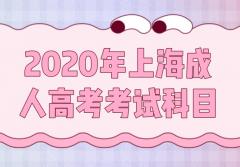 2020年上海成人高考考試科目