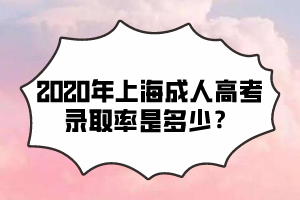 2020年上海成人高考錄取率是多少？