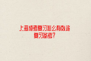 上海成考復(fù)習(xí)怎么有效地復(fù)習(xí)備考？
