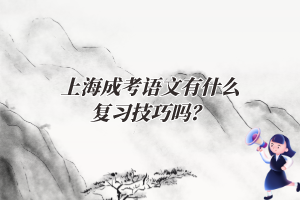 上海成考語文有什么復習技巧嗎？