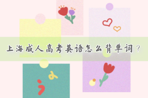 上海成人高考英語怎么背單詞？