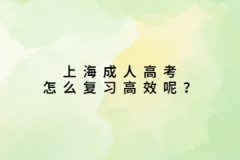 <b>上海成人高考怎么復習高效呢？</b>