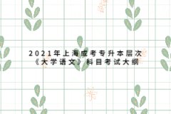 2021年上海成考專升本層次《大學(xué)語文》科目考試大綱